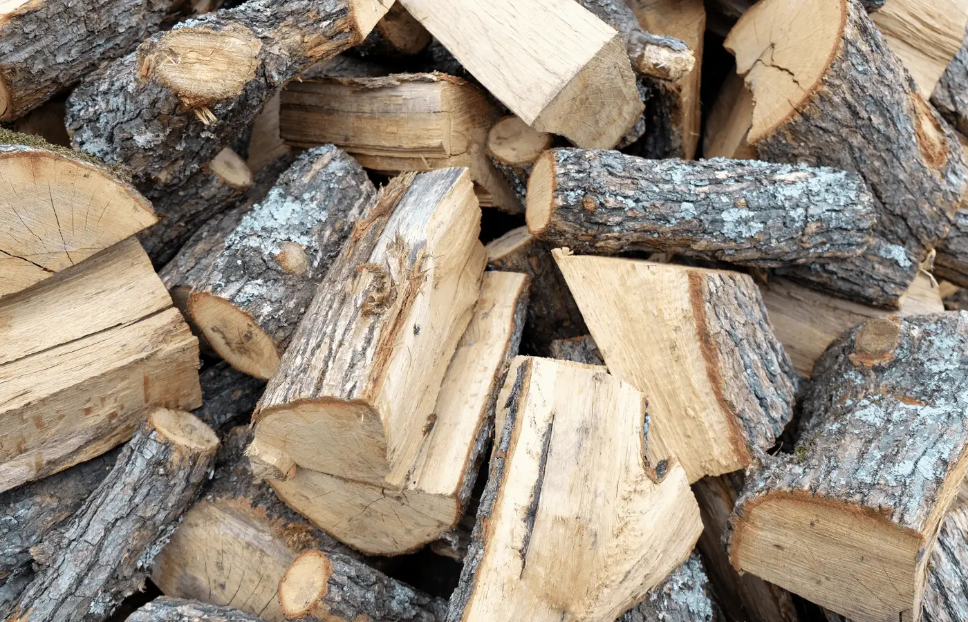 is ginkgo wood good for firewood