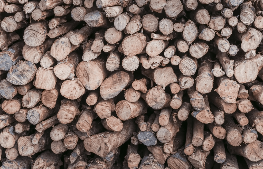 is avocado wood good for firewood